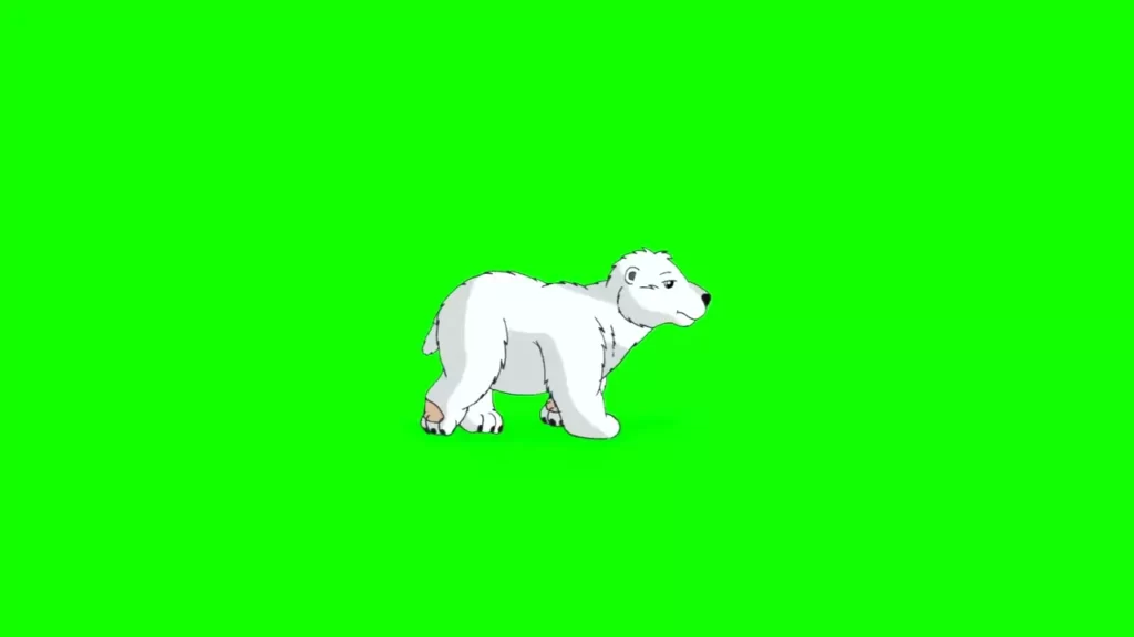 Cute Bear Green Screen