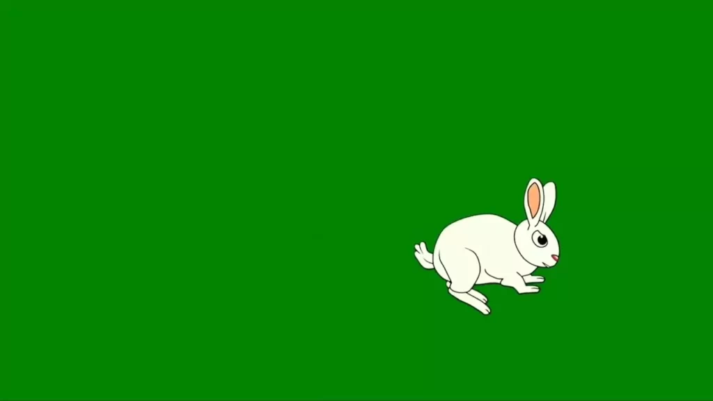 Rabbit Green Screen Video