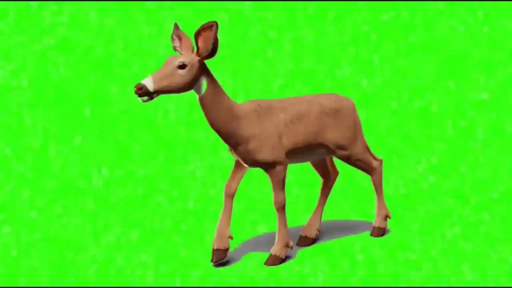 Cartoon Deer Green Screen