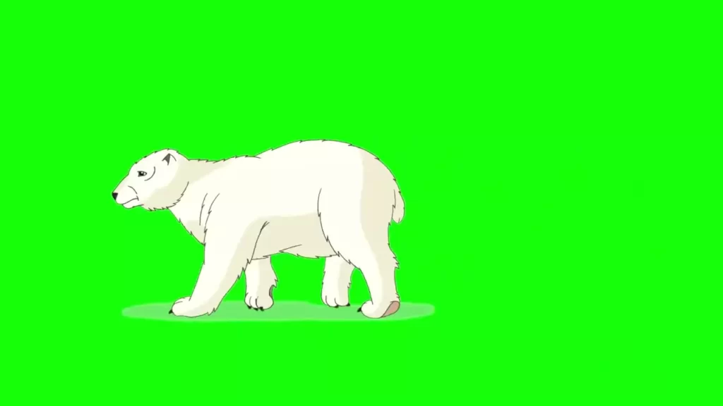Cartoon Polar Bear Green Screen