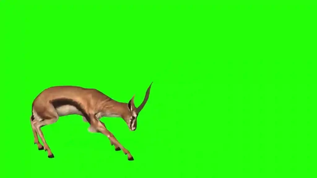 Angry Deer Green Screen