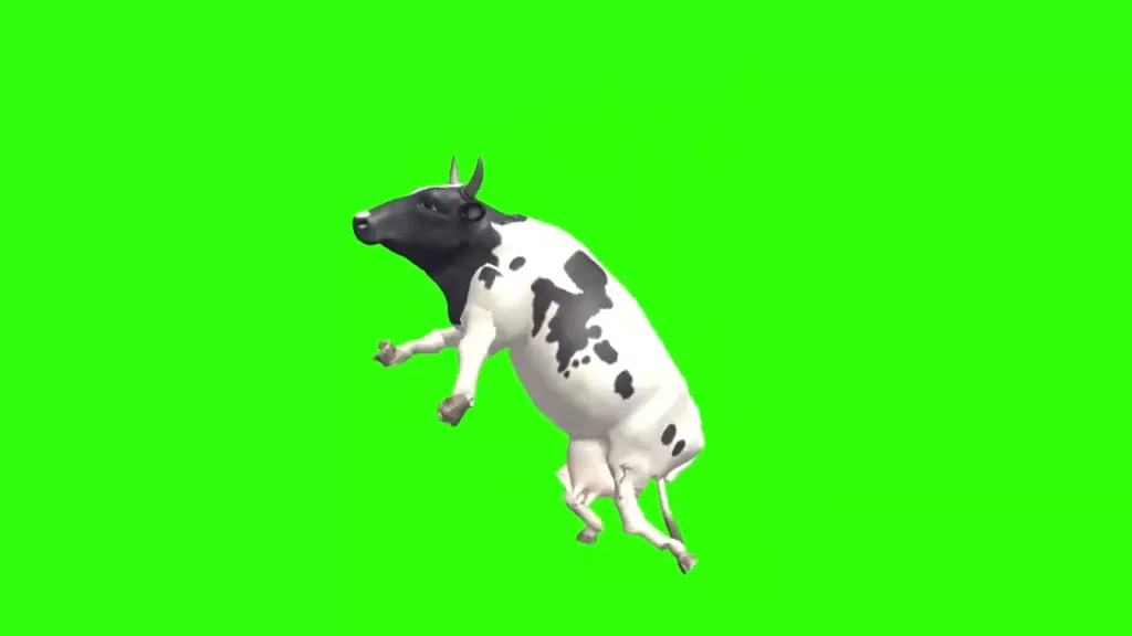 Dancing Cow Green Screen Video