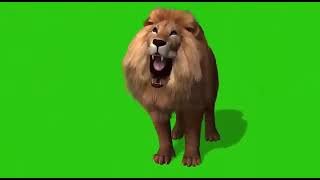 Lion roar green screen
