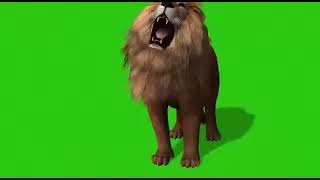 lion roar green screen