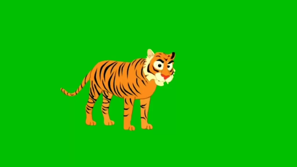 Caartoon tiger green screen