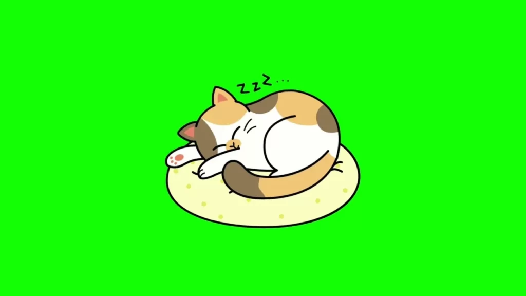 Cartoon cat green screen
