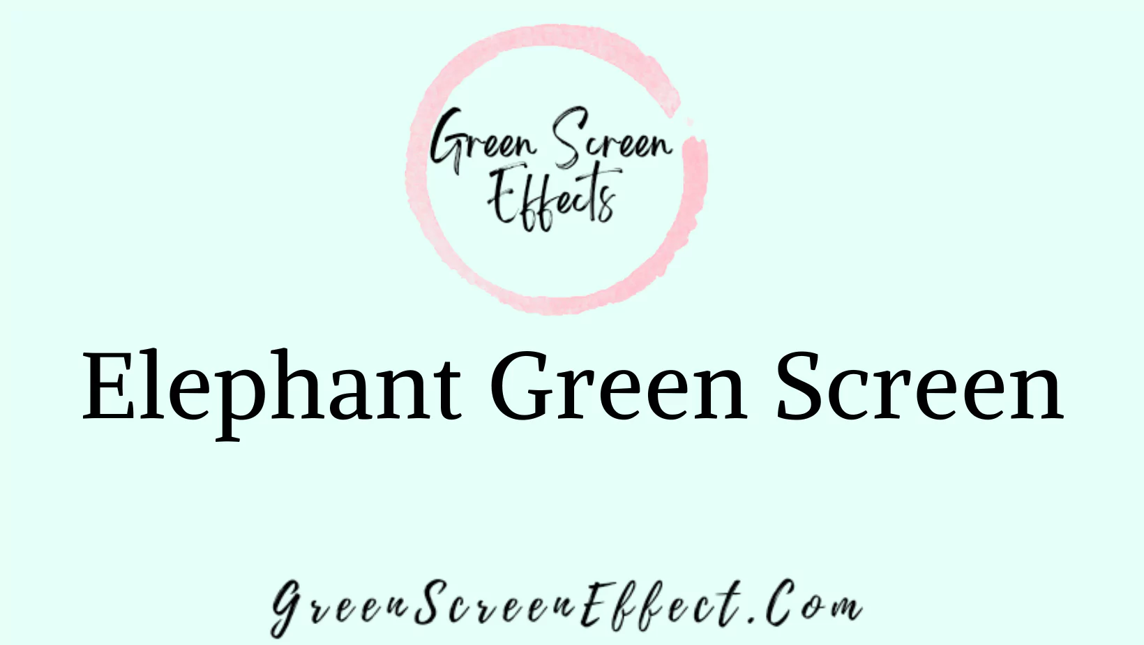 Elephant Green Screen Video