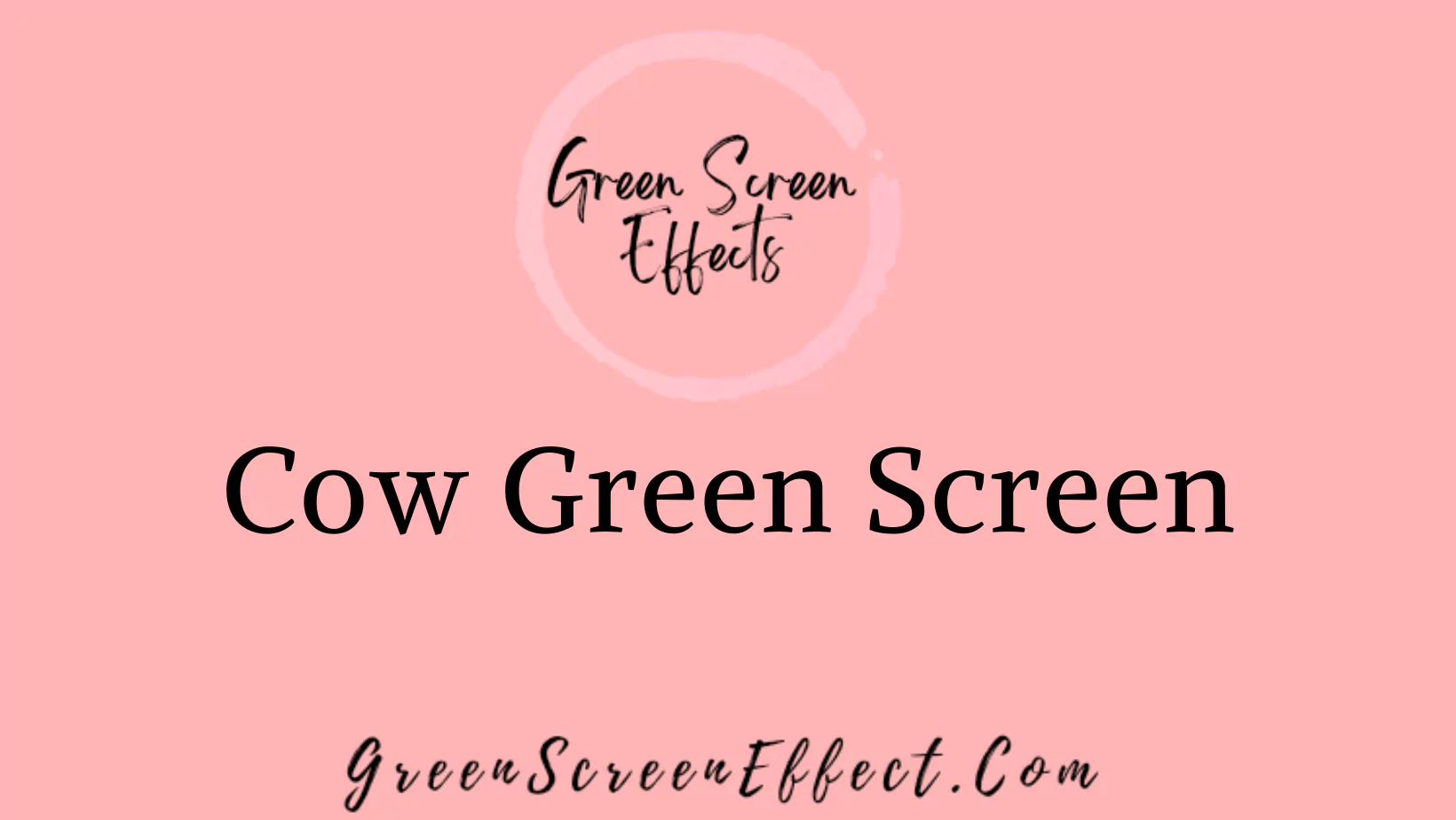 Cow Green Screen