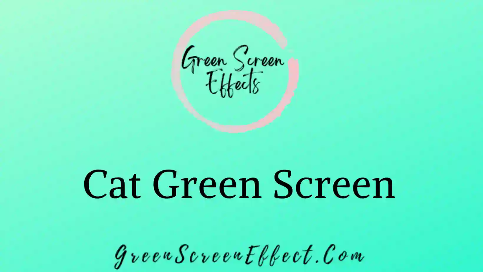 Cat Green Screen