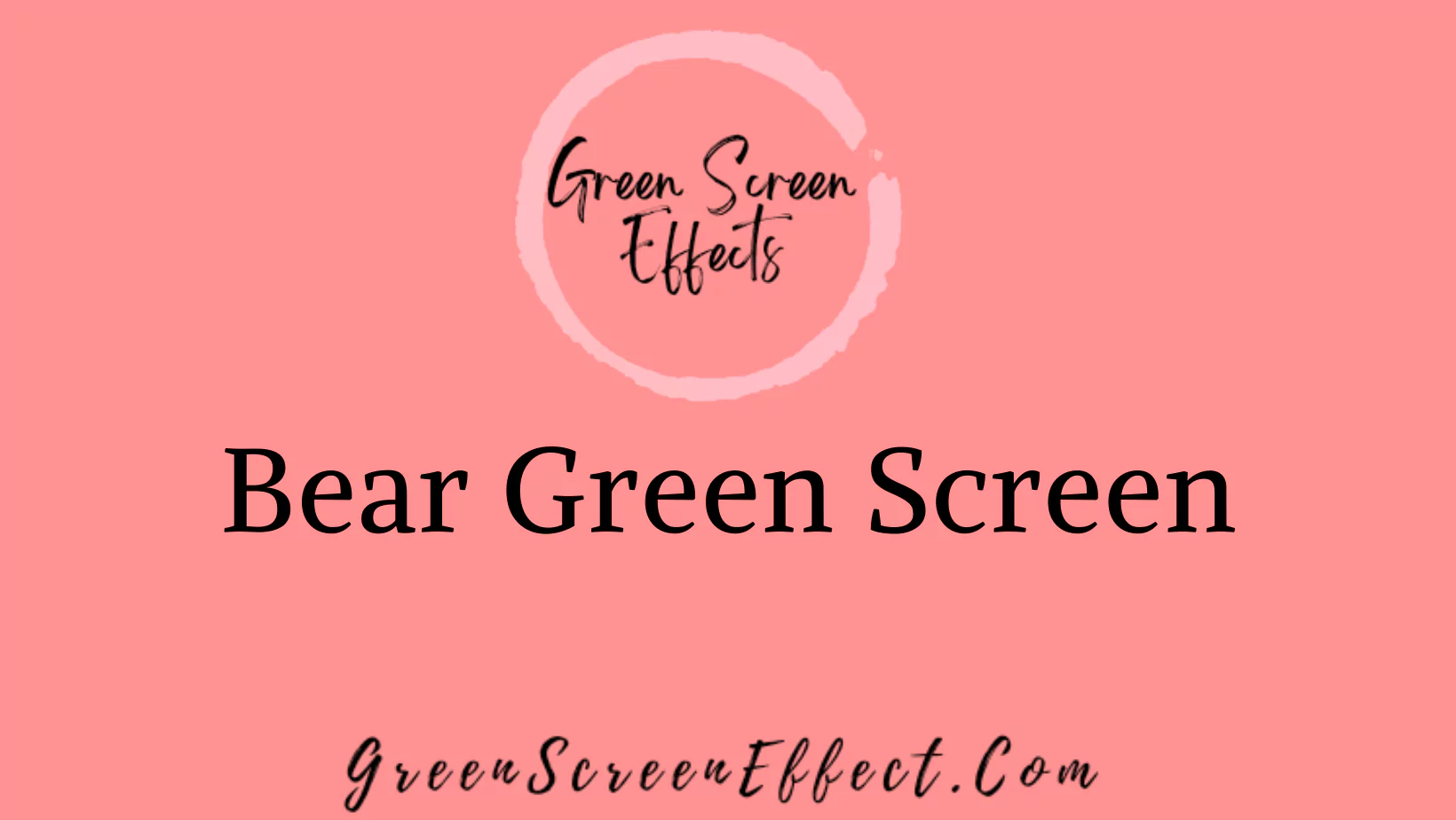 Bear Green Screen