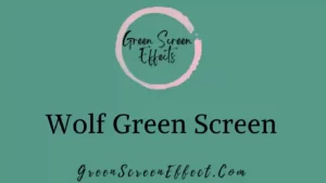 Wolf Green Screen